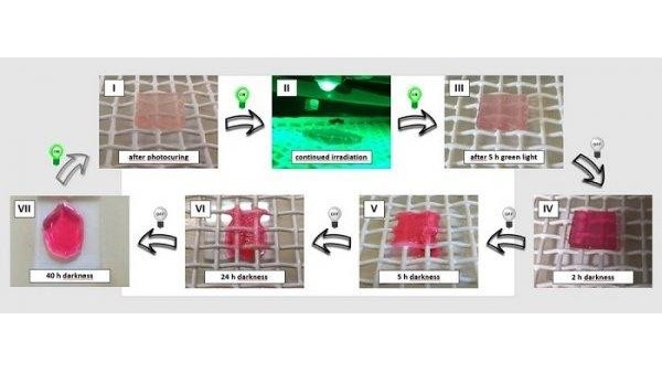 科學家研制動態可重新編程材料：光照變硬 暗時變軟