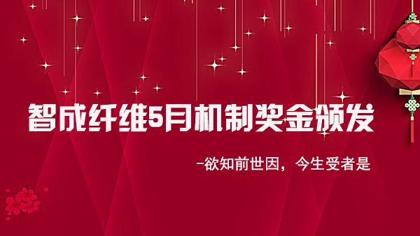 智成纖維5月業績有新高-欲知前世因，今生受者是